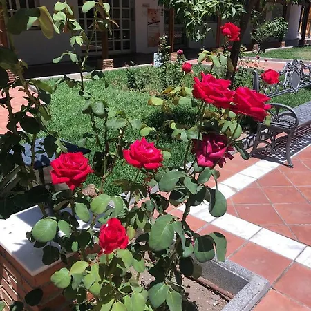 Διαμέρισμα Tres Coronas Fuengirola